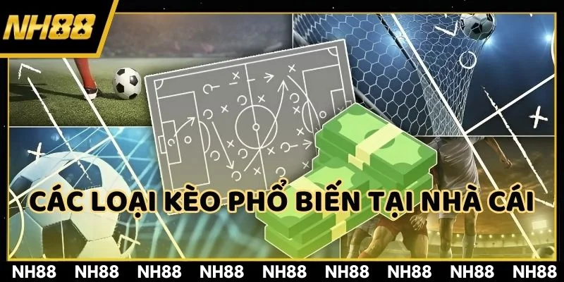 Tổng hợp 5 loại kèo thông dụng tại thể thao NH88