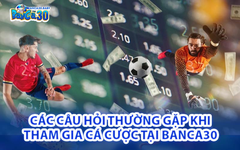 Câu hỏi thường gặp